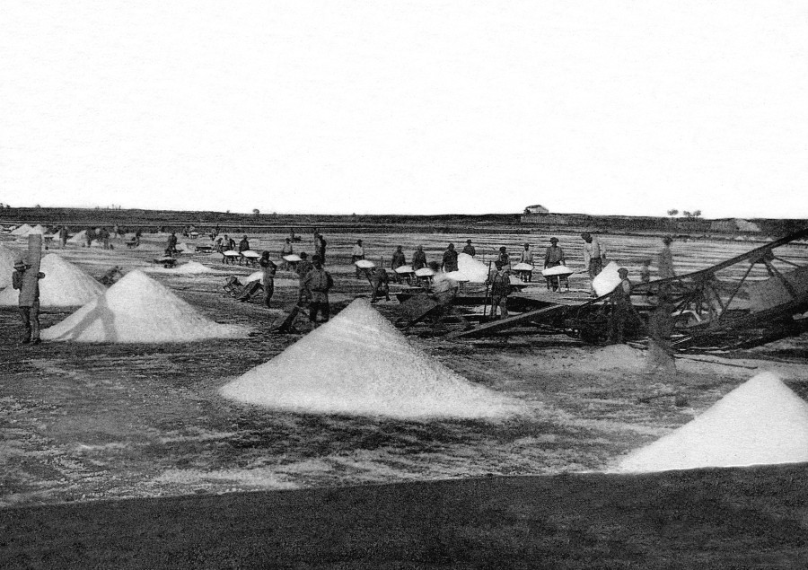 Photo ancienne des ouvriers de la Cie des Salins du Midi  - R. Becker, coll. M. Sabater (N°455)